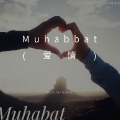 muhabbat(爱情)