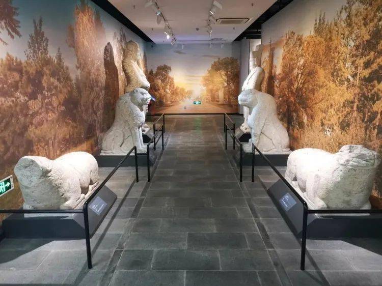 任丘市京南博物馆