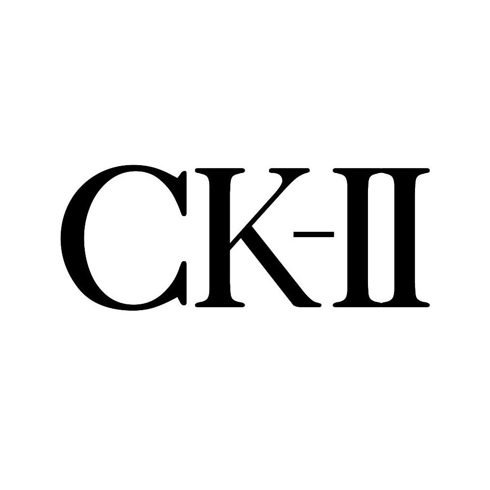 Купить копию сумки