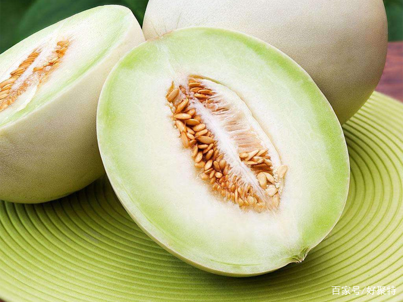 揭秘兰州特产白兰瓜，夏日解暑首选瓜甜肉厚汁丰_百科TA说