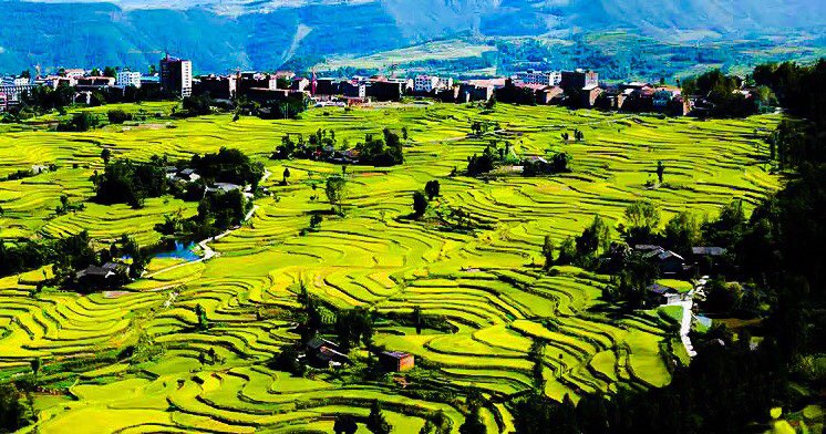  p>金石镇,四川省达州市 a target="_blank" href="/item/通川区