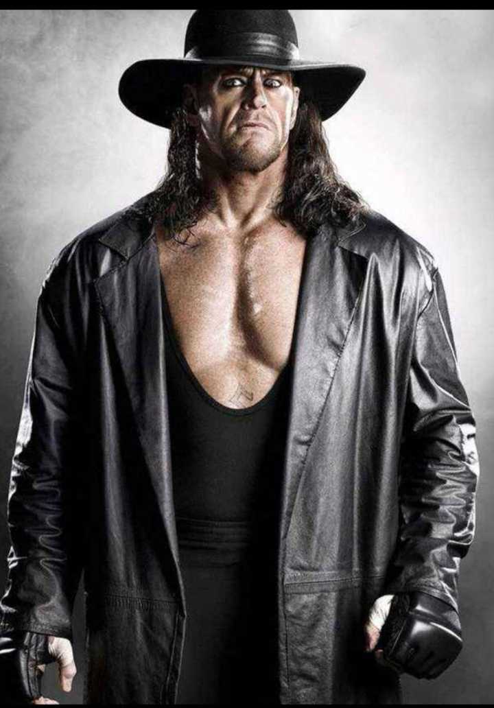  p>送葬者(the undertaker),1965年3月24日出生于 a target="_blank"