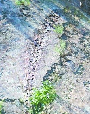 延庆恐龙足迹化石