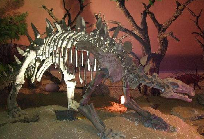 沱江龙(tuojiangosaurus)