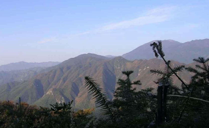 临清龙山森林公园