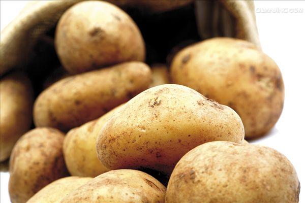 马铃薯