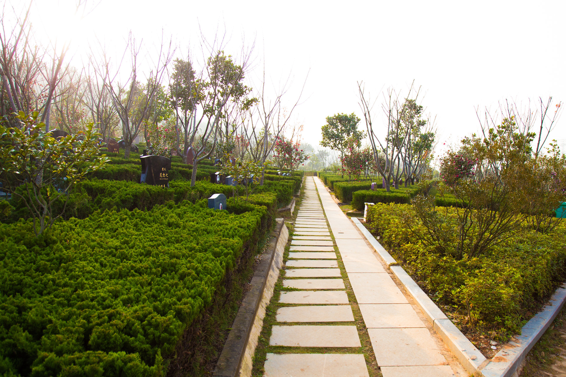  p data-id="gnaxtev5ht">武汉八叠山生命公园位于 a target="_blank"