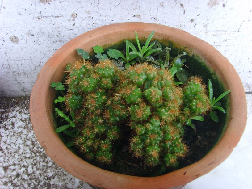  p data-id="gnwj1lbbeu">山影(shān yǐng)