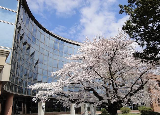 日本岩手大学