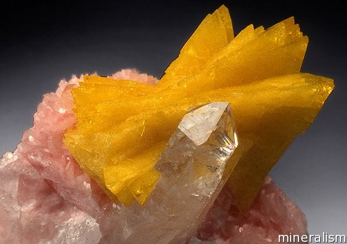  p>日光榴石(helvine)是一种 a href="#" data-lemmaid="4259184">