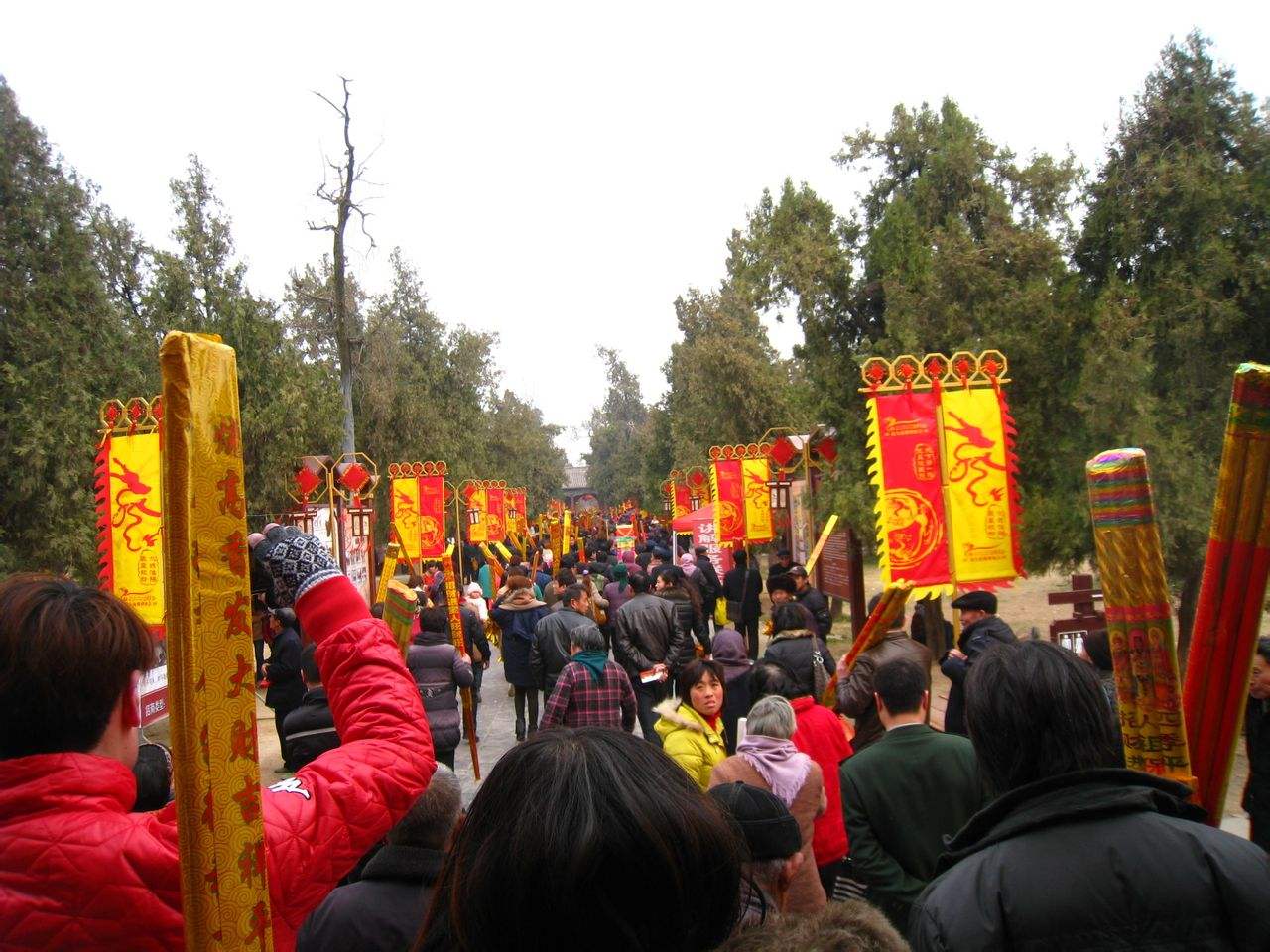 淮阳二月二庙会