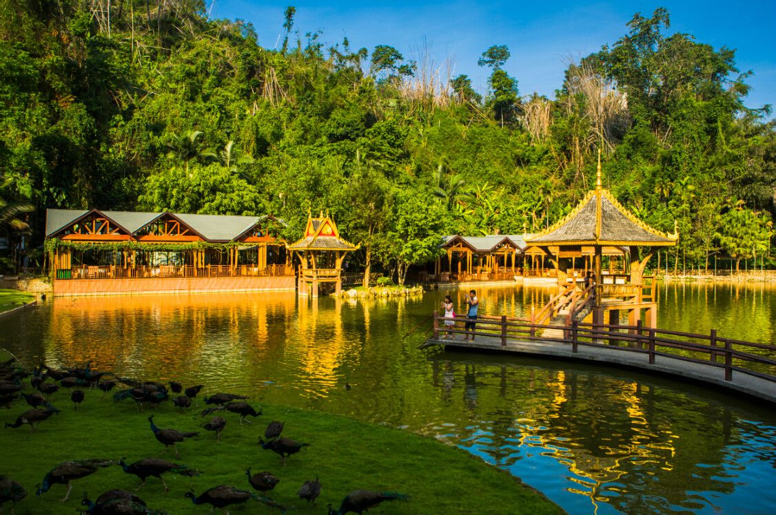  p>万达西双版纳国际度假区,位于西双版纳州景洪市,占地5.