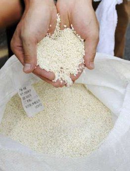 日本毒大米事件