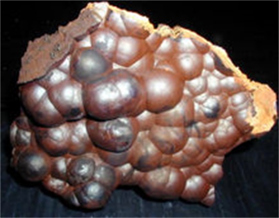  p>沼铁矿也叫针铁矿,它是分布很广的一种铁的氧化物,通常所见到的