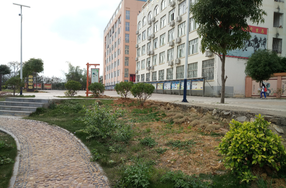 扶绥县扶绥中学