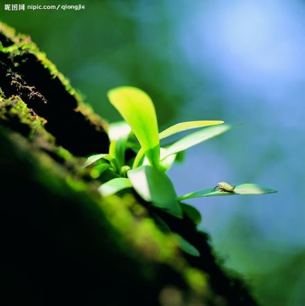 生命（生物体所具有的存在和活动的能力）_百度百科