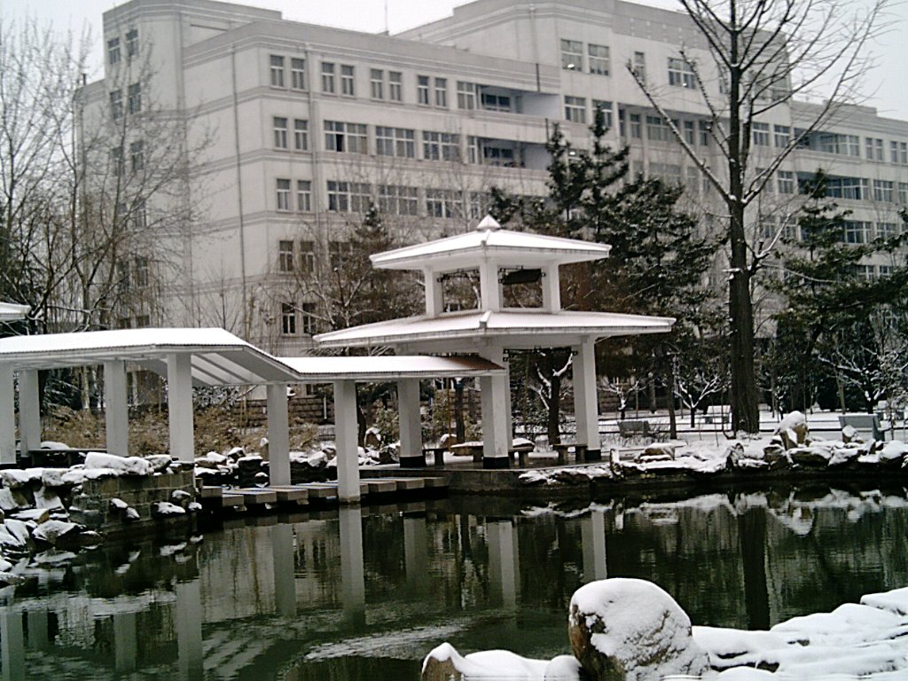 临沂大学