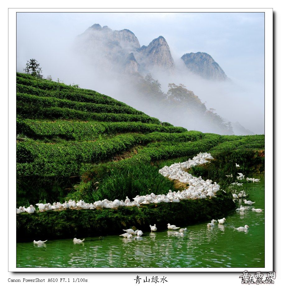  p>云顶茶园度假村位于国家a级自然保护区-中国梅花山南麓,闽西第一峰