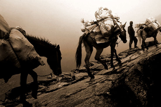  p>迤萨马帮,是清代以来活跃在云南境内,并通往东南亚的马帮路,这样