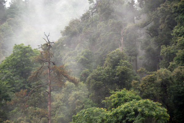  p data-id="gnhdqbixt9"> a target="_blank" href="/item/九连山脉