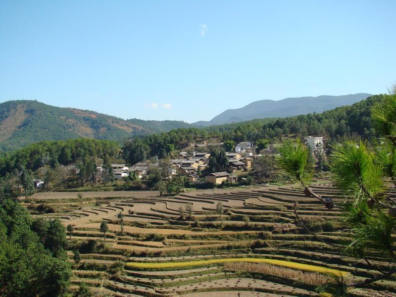  p>大石村属于贵州省贵阳市修文县大石乡,人口1785人.