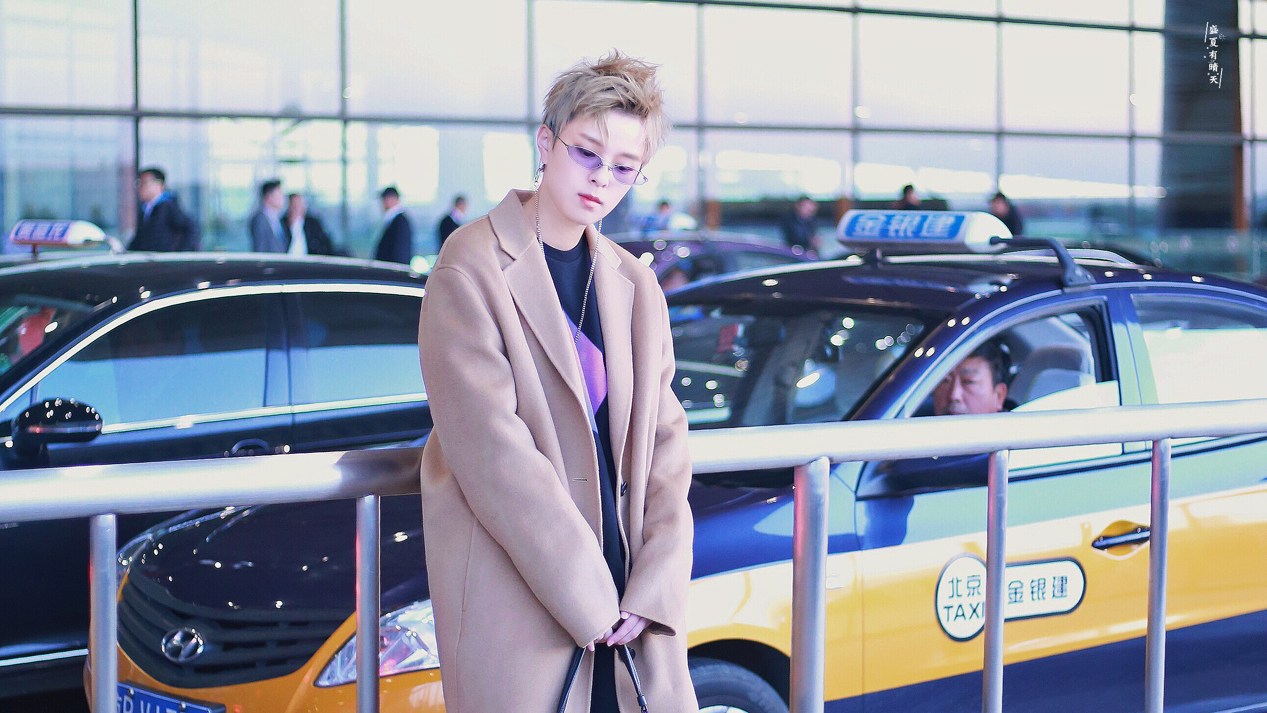 杨芸晴