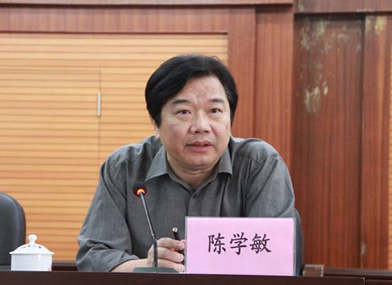 陈学敏