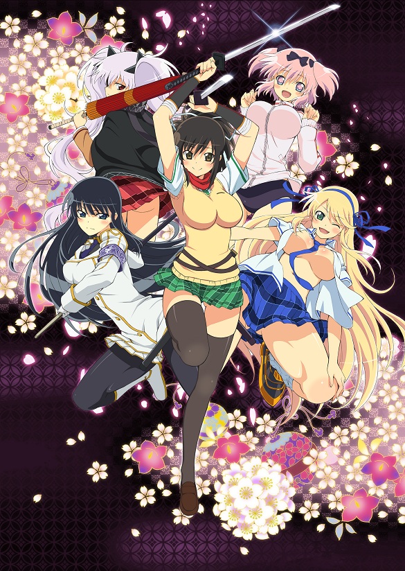 电视动画《闪乱神乐》改编自任天堂3ds游戏