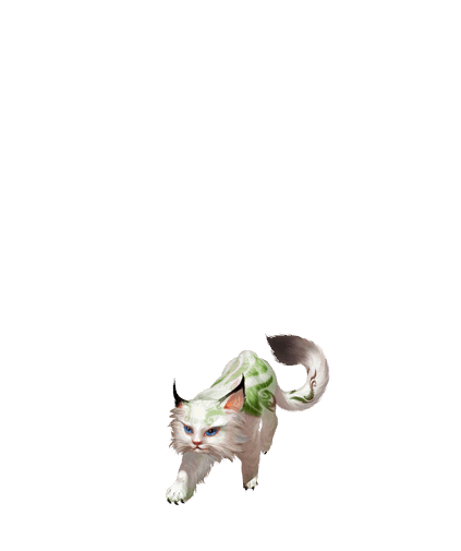 灵猫