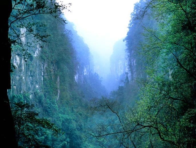 冷水河森林公园