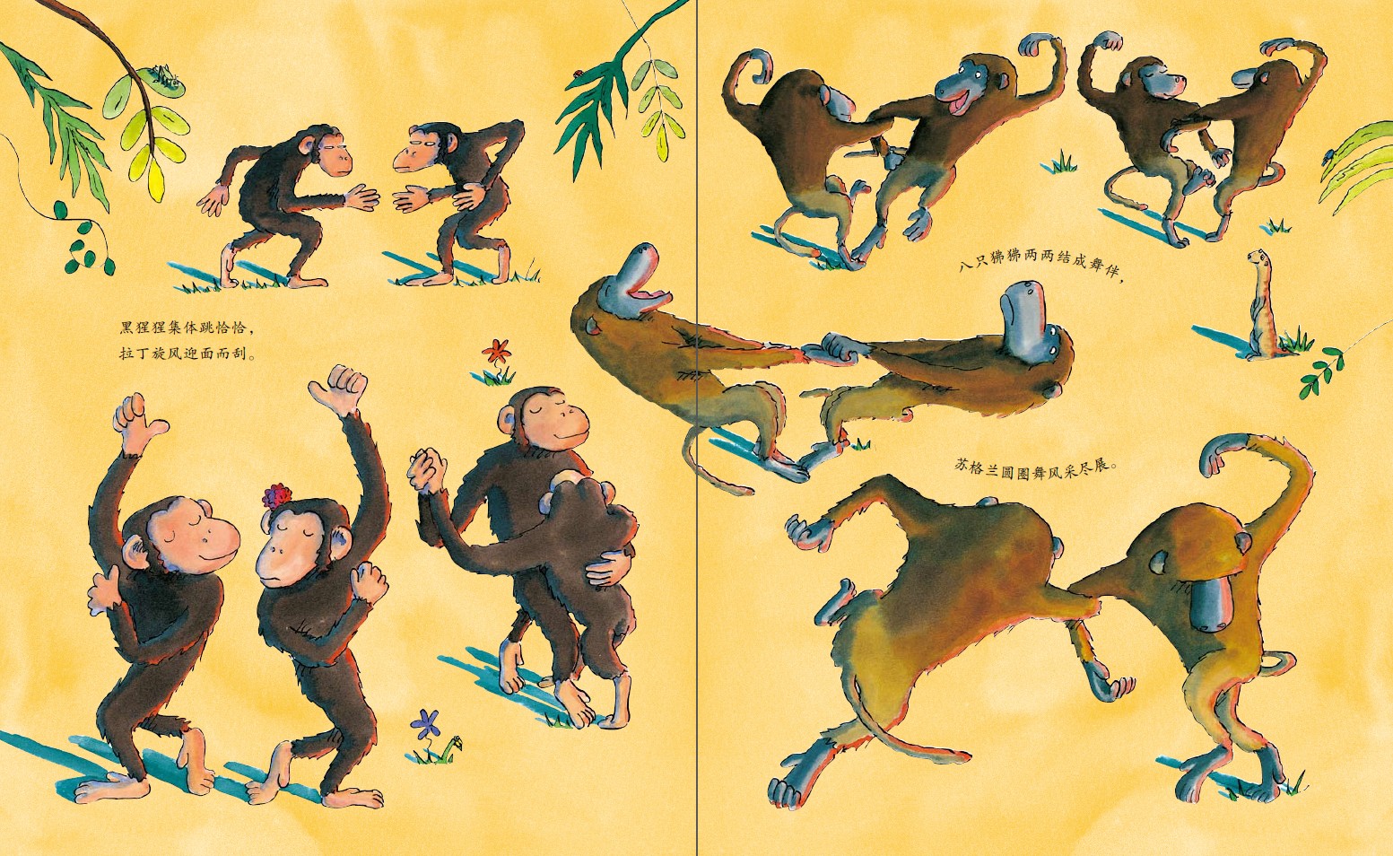 长颈鹿不会跳舞