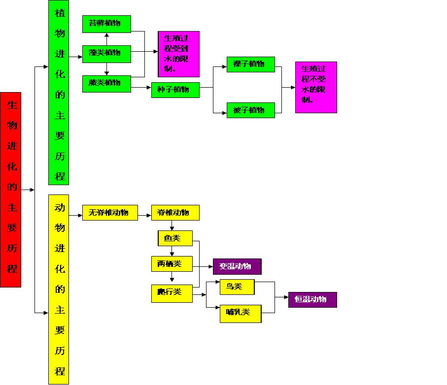  p>生物谱系树:无论植物还是动物,都可以根据结构分为若干大类或分类.