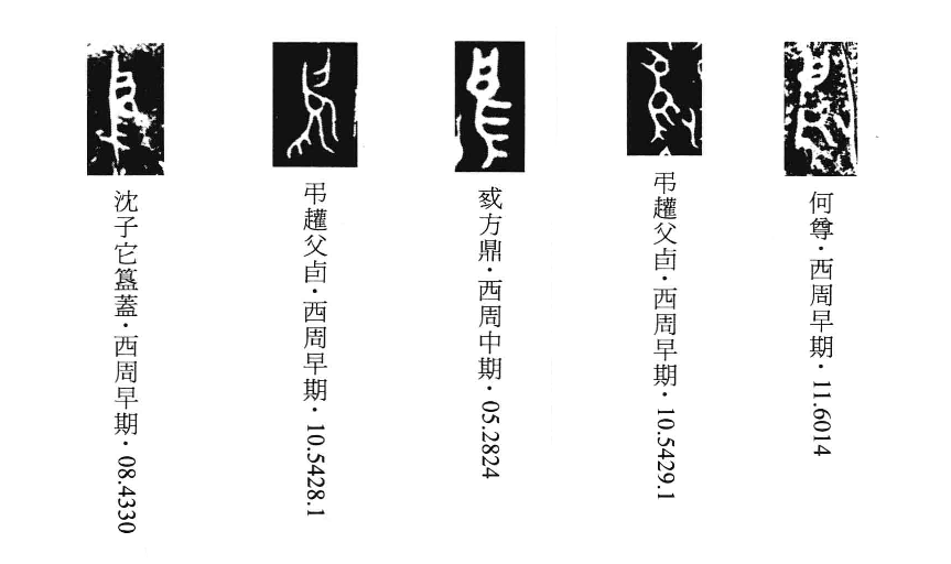 金文扩充