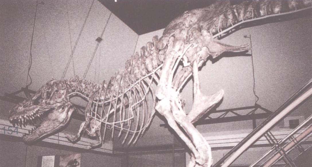 data-lemmaid="1561066">沱江龙 /a>的一种,化石主要分布在中国四川省