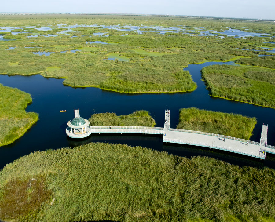 大庆龙凤湿地