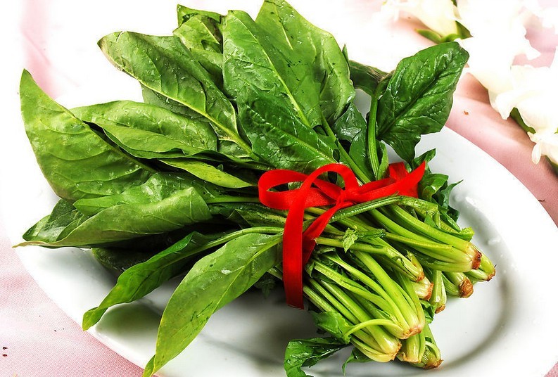 又名波斯菜,赤根菜,鹦鹉菜等,属藜科 a target="_blank" href="/item