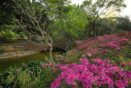 石排湾郊野公园