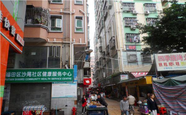 data-lemmaid="17650022">沙尾村 /a>属于广东省深圳市福田区沙头街道