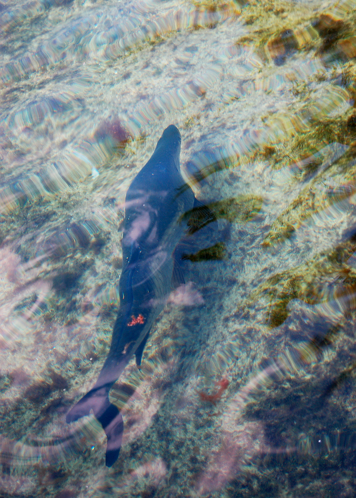  p> b>大西洋(英语:atlantic ocean) /b>,是世界第二大洋,占地球表