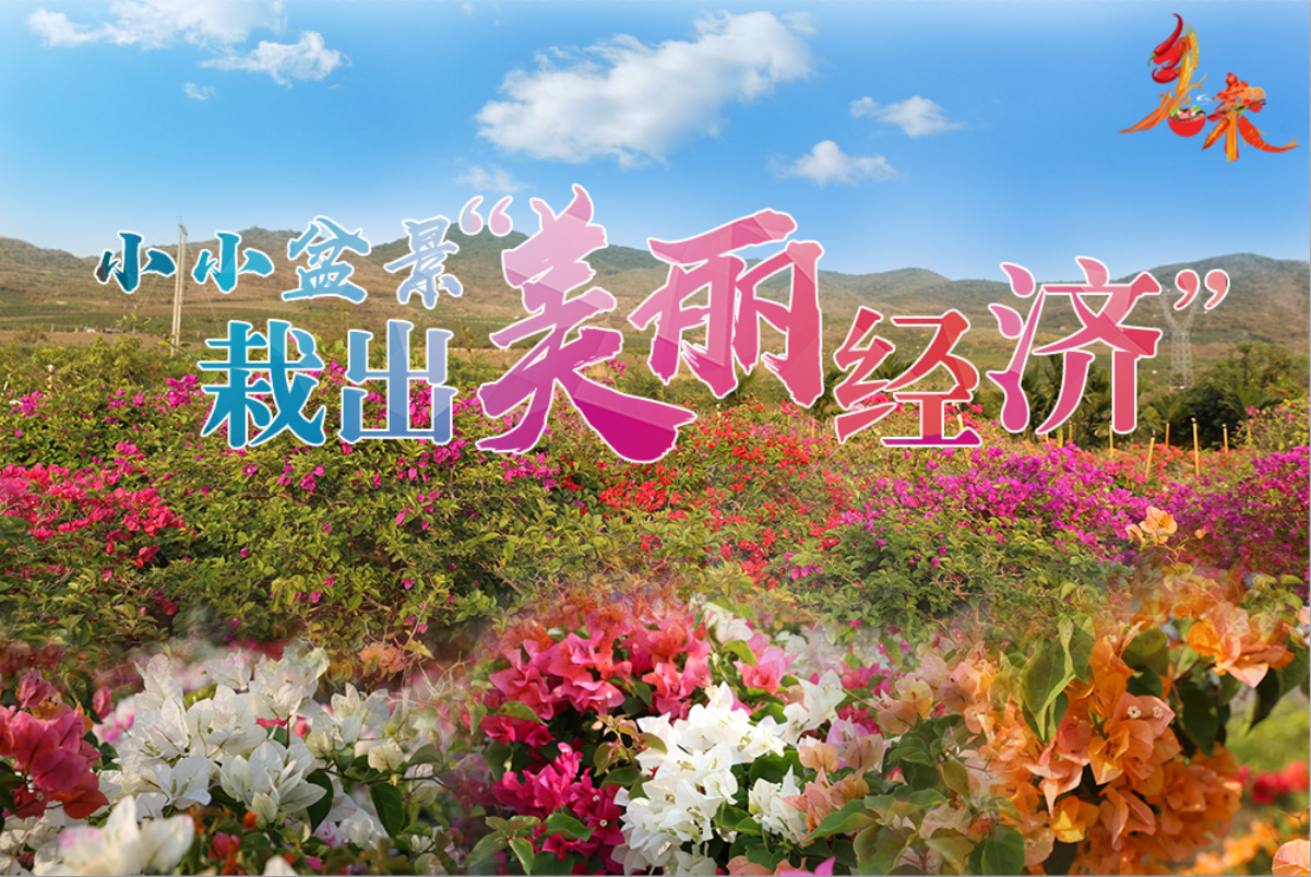 假面骑士亚马逊回归引发全网热议，粉丝激动泪洒现场，制作组透露全新剧情走向，经典 IP 再掀怀旧狂潮