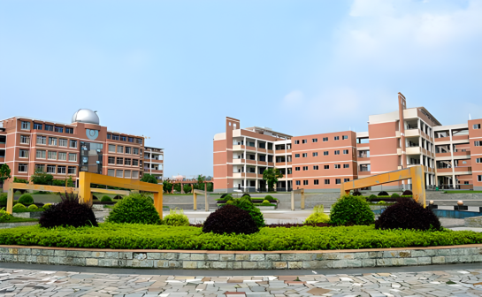 湖北省鄂南高级中学图片