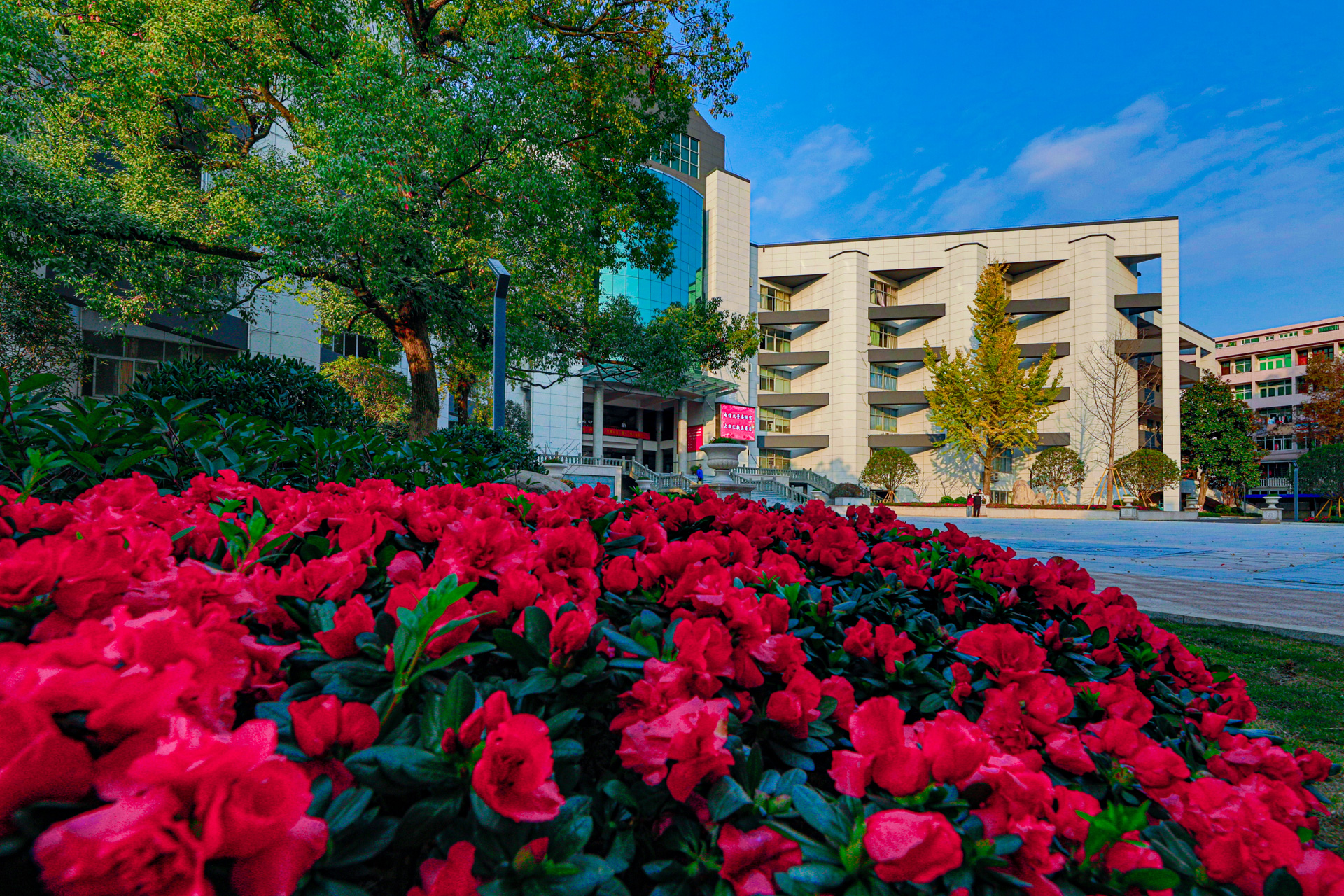 浙江省平阳县第二中学