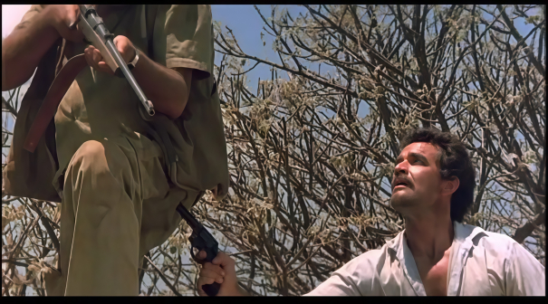 《上帝也疯狂2》剧照