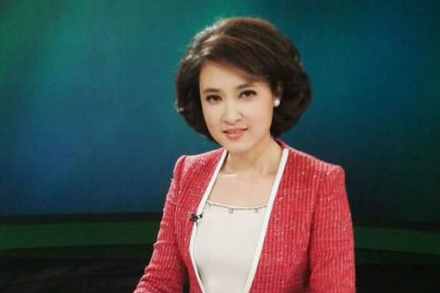 桑晨（中央电视台节目主持人）_百度百科