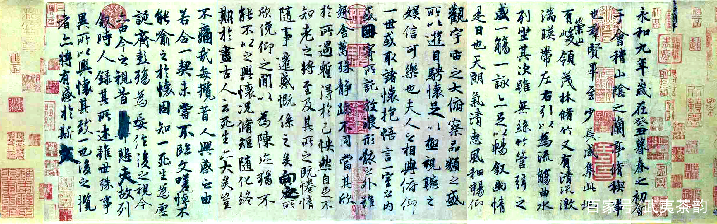 知道什么书帖展开时，可以达到“花见花开”的效果吗？徐渭告诉你_百科TA说