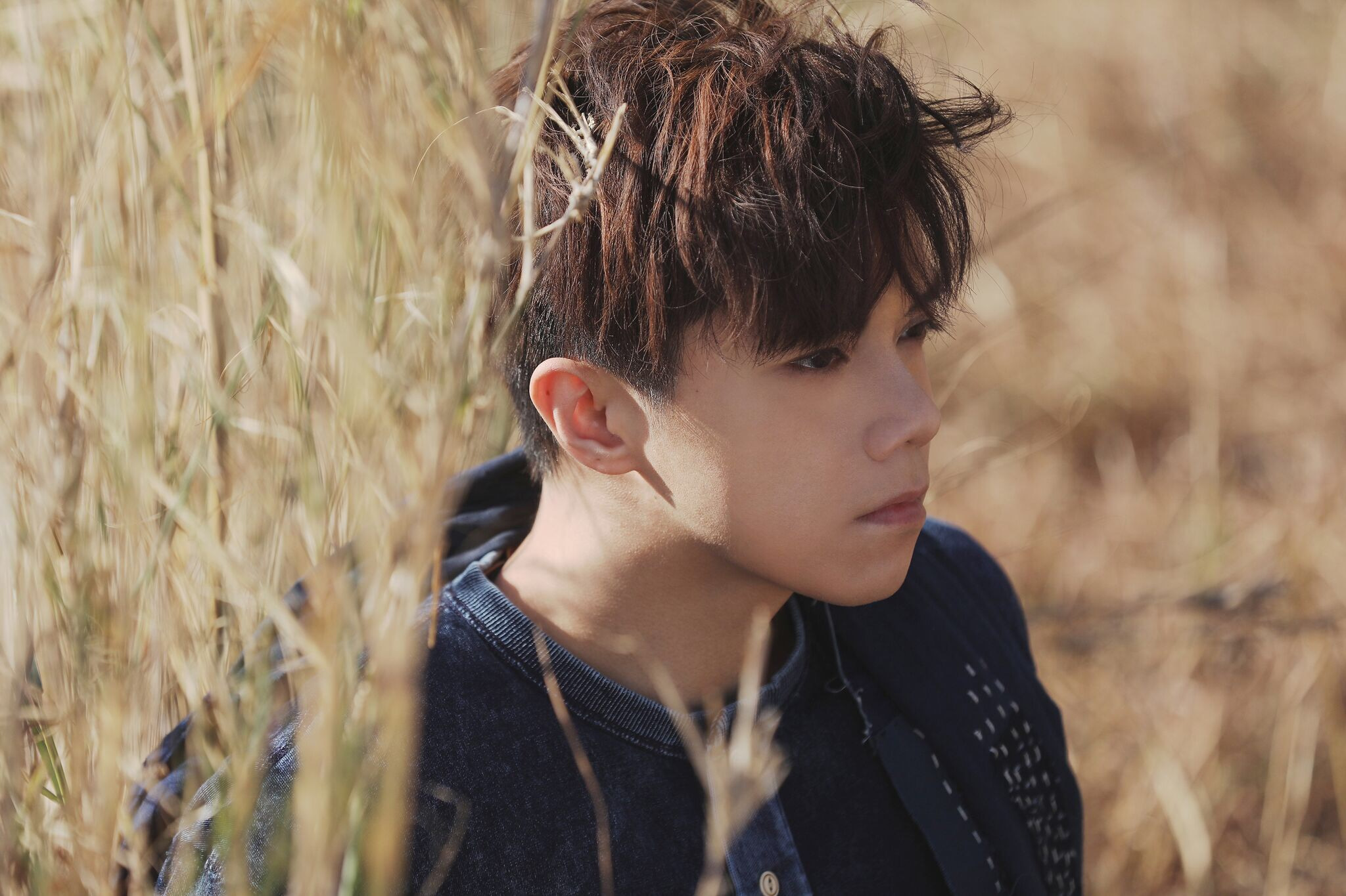  p>《why not》是 a target="_blank" href="/item/张敬轩/140872"