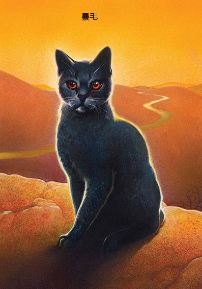 tdvze">暴毛,出自《 a target="_blank" href="/item/猫武士/4739018"
