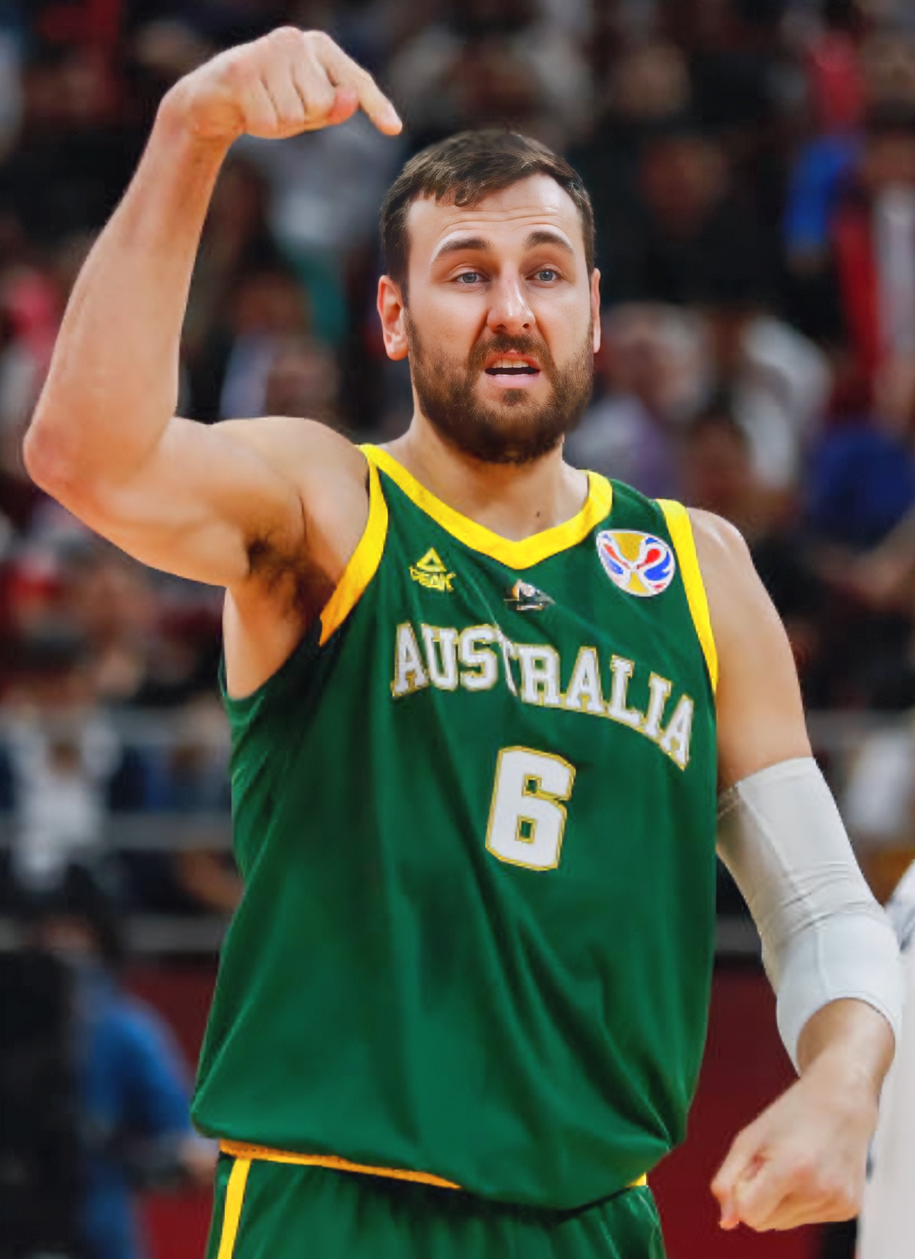 安德鲁·博古特