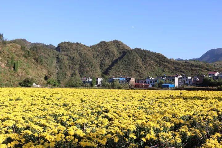  p>港口镇,隶属江西省九江市修水县,地处修水县北部边陲,东邻 a