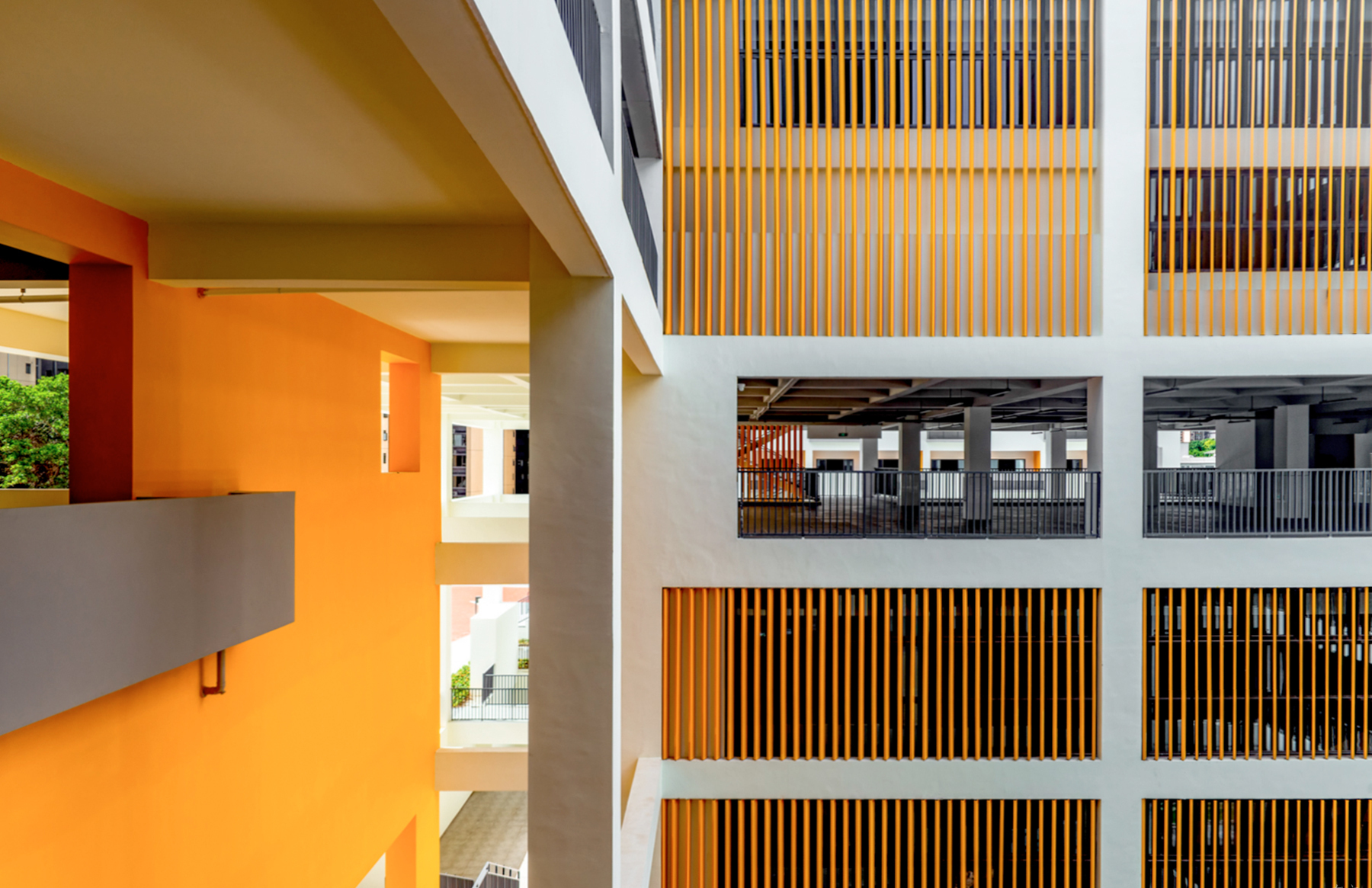 深圳市龙岗区扬美实验学校